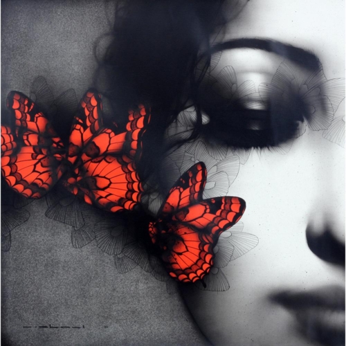 An Ode to Beauty - 10256